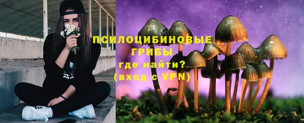спайс Алексеевка
